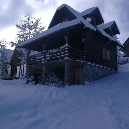Brvnare Libero Tara Holiday home *