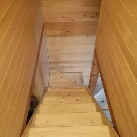 Brvnare Libero Tara Sekulic