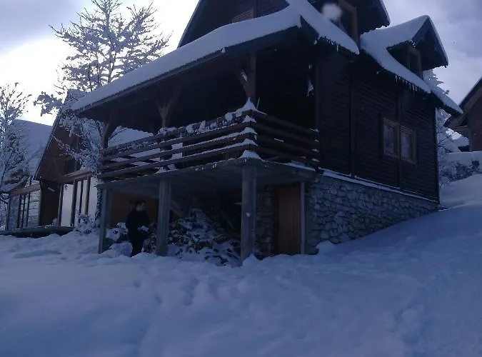 Brvnare Libero Tara Case de vacanță *