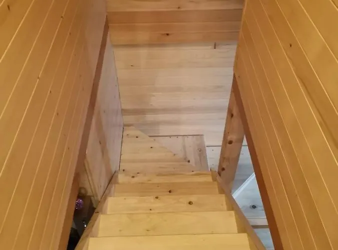 Brvnare Libero Tara Sekulic