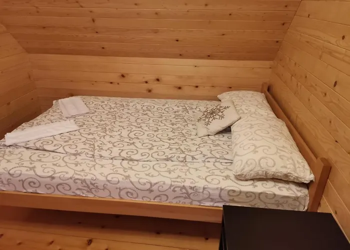 Brvnare Libero Tara Case de vacanță *